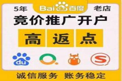 百度竞价排名案例分析：提升网站流量与转化率